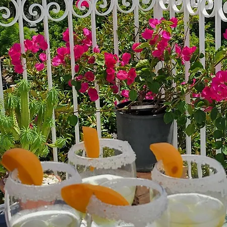 Divina Салерно